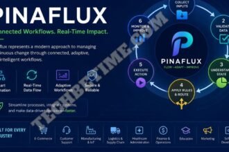 Pinaflux – Meaning, Workflow Automation & Technology Concept